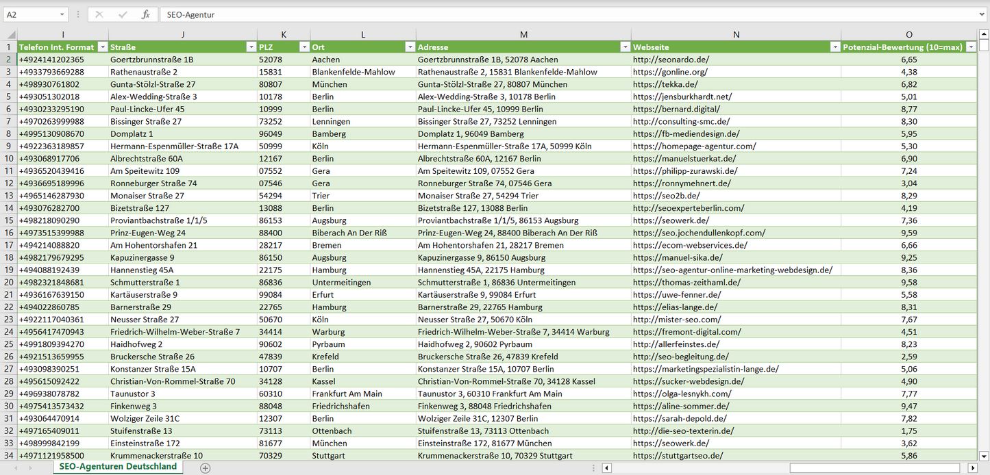 Weitere Vorschau der Liste mit den Adressen der SEO-Agenturen