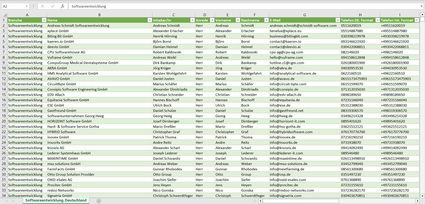 Vorschau der Liste mit den Adressen der Softwareentwicklungs-Unternehmen