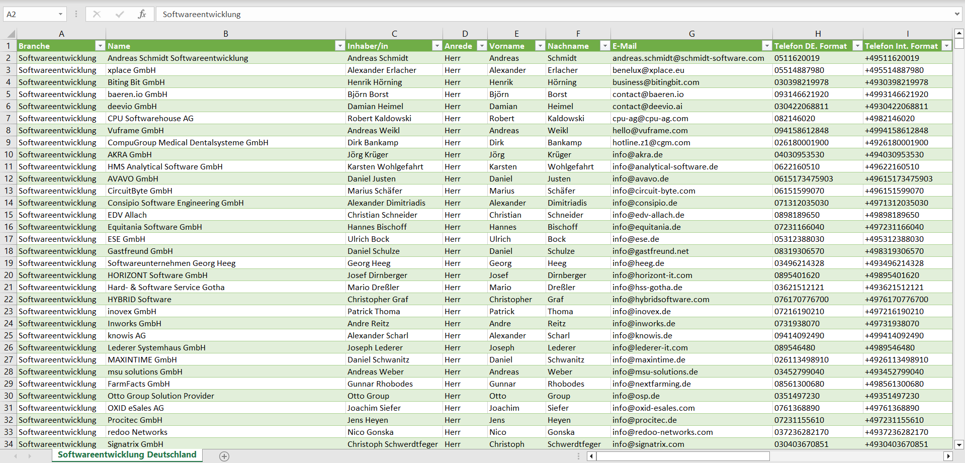 Vorschau der Liste mit den Adressen der Softwareentwicklungs-Unternehmen