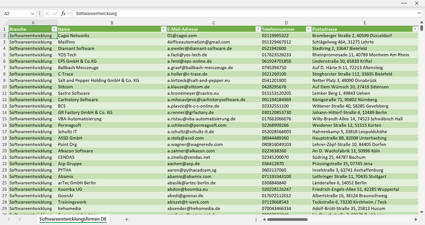 Vorschau der Liste mit den Adressen der Softwareentwicklungs-Unternehmen
