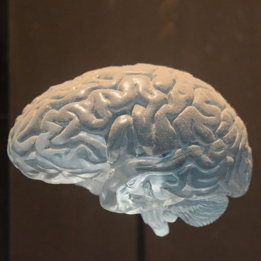 Adressen aller Neurologen in Deutschland