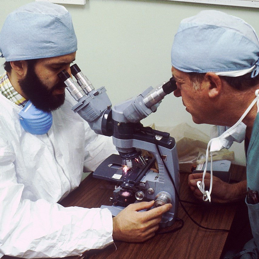 Pathologen schauen in ein Mikroskop